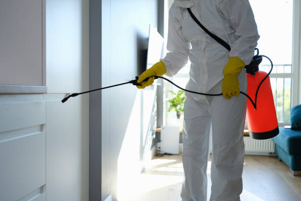 Best Mold Testing  in Mount Ida, AR